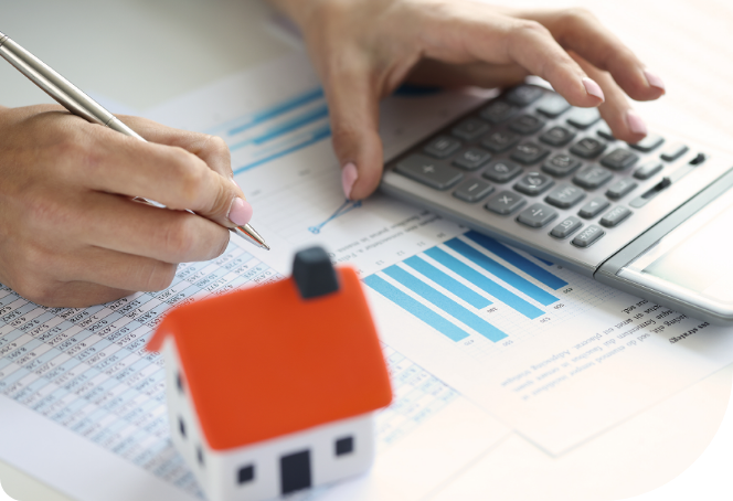 Conoce a detalle nuestras subastas